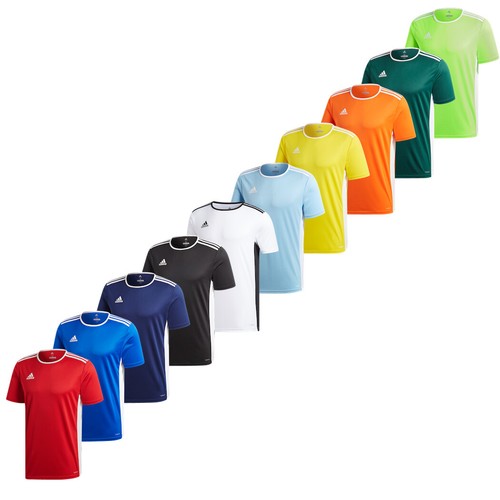 Adidas entrada aeroready - entrada,